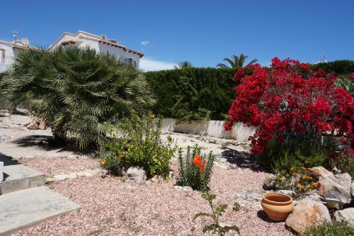 Muriel House - image 5