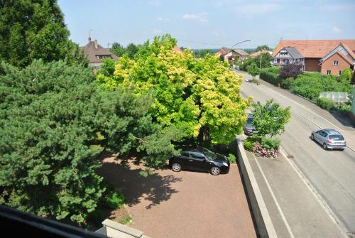 Skats, Abricot & Chocolat in Niederschaeffolsheim