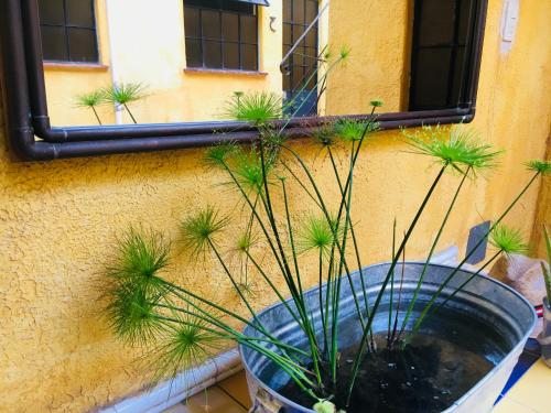 Hostal Andaina - image 2