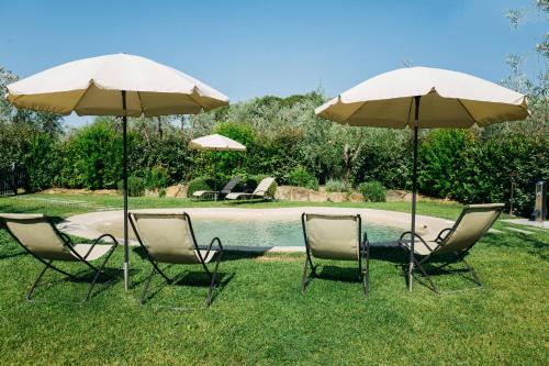 Casa Montecuccoli - image 8