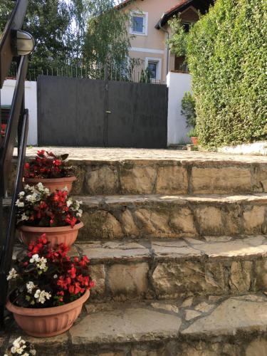 Apartment Queen - image 7