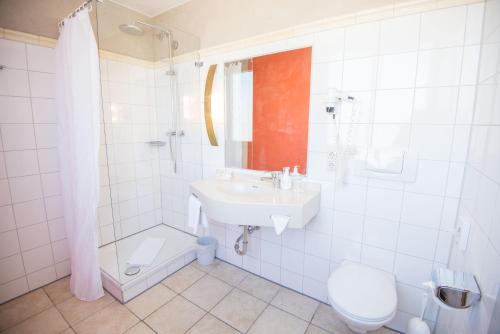 Ringhotel Alpenhof - image 2