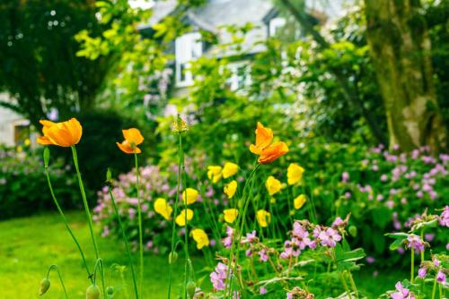 Brandy House Farm, , Shropshire