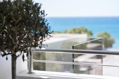 Coral Apartments - image 7