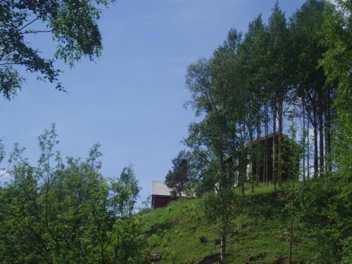 Accommodation in Tolga