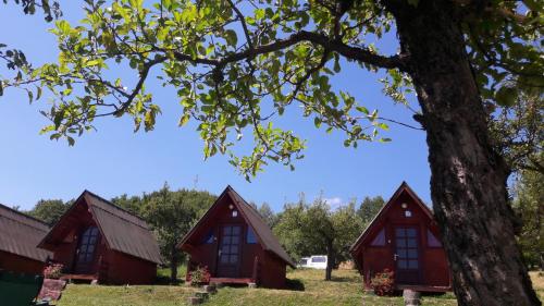 Călăreții lui Țepes - Camping - Căpăţîneni-Pămînteni