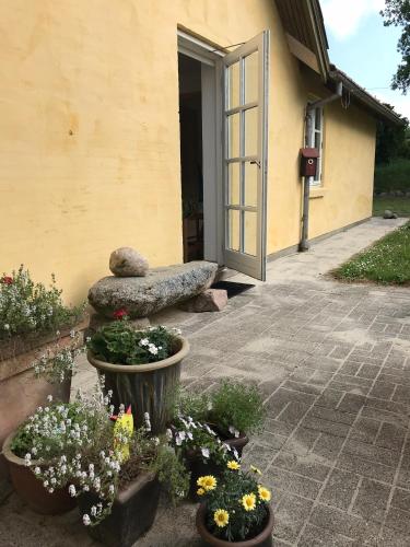 Tranum Lys og Glas