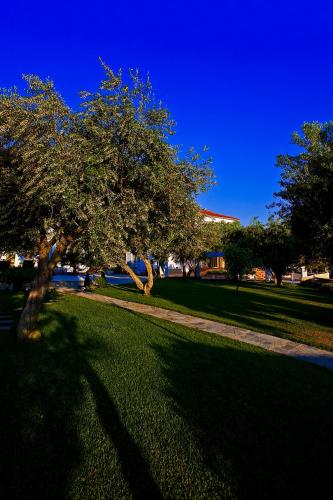Flegra Palace - image 13
