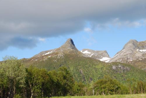 Haugteig, Lyngværet (Foto 10)