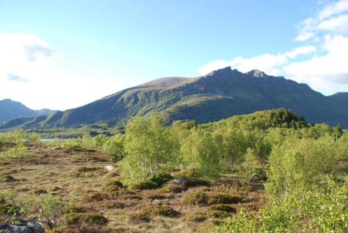Haugteig, Lyngværet (Foto 5)
