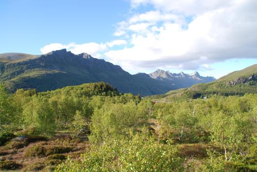 Haugteig, Lyngværet (Foto 6)