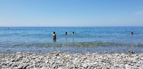 Горное Ущелье Gornoe Uschelye - image 14