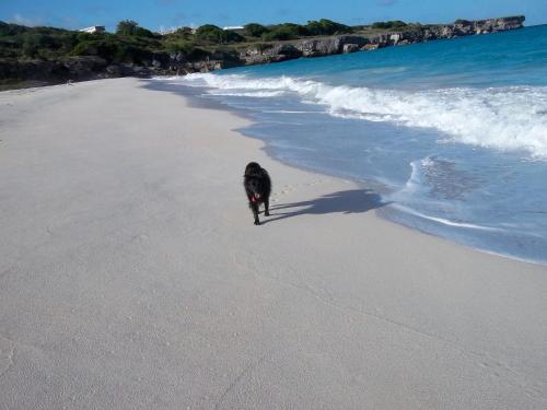 Ocean Ridge at Long Beach