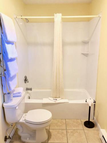 乔治湖林恩艾尔汽车旅馆 乔治湖林恩艾尔汽车旅馆