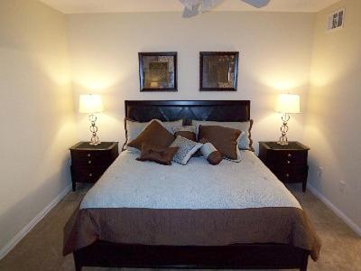 2 Bedroom condo in Mesquite #216 - image 4