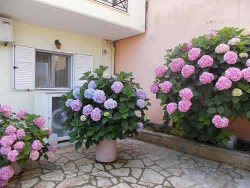 Pansion Filoxenia Apartments & Studios - image 14