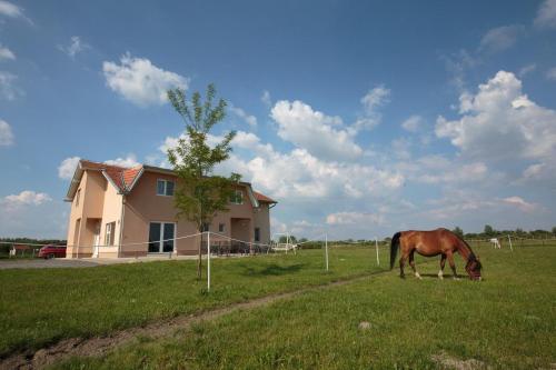  Family Room Bilje 14318a, Pension in Bilje