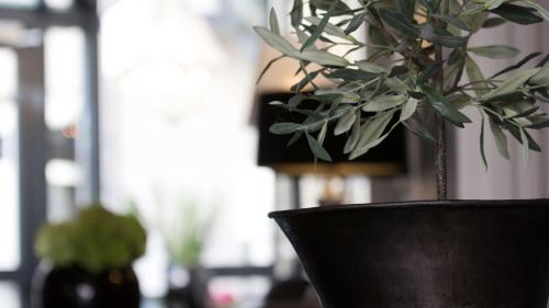 Best Western Plus Hotel Kronjylland - image 6