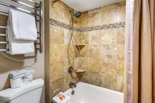 1088 Wild Irishman Condo - image 3