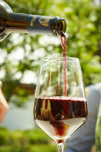 Aktivitātes, Weingut Mathy-Schanz in Osann-Monzel
