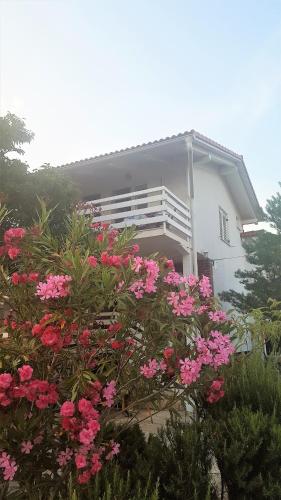  Apartment Lavanda in Sveti Petar