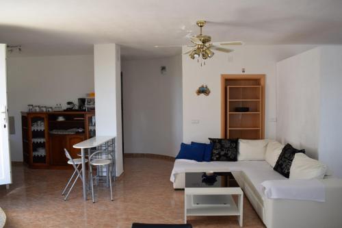  Bernarda in Novigrad