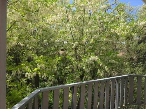 Hotel Bel Alp Manosque