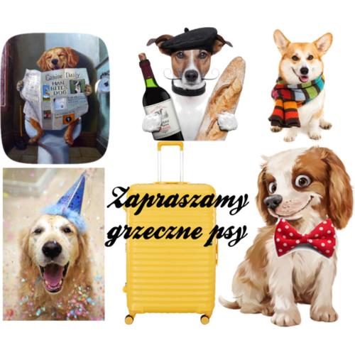 Apartament Wakacje i rowery gratis