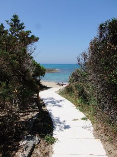 Rosa Marina Frontline Beach