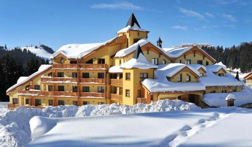 Tatran - Nika obrázok