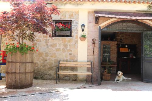  Agriturismo San Leonardo, Centola bei Celle di Bulgheria