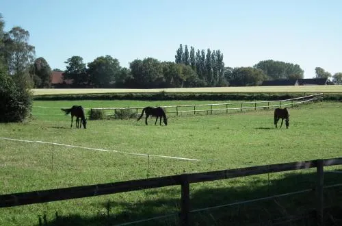 Ferienwohnung "Landblick" in Lüdinghausen, Deutschland