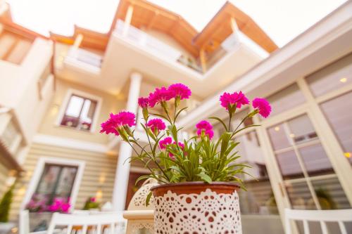 Villa Ester - image 21