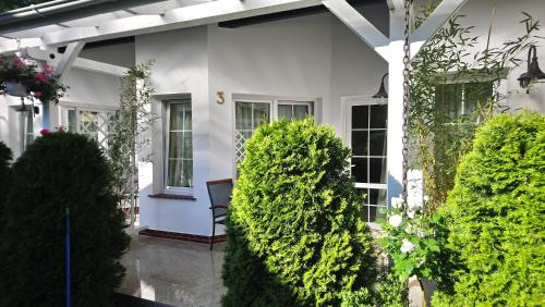 Pod Sosnami Pod Sosnami