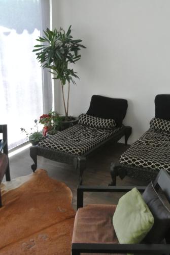 Casas Do Contrabando - image 8