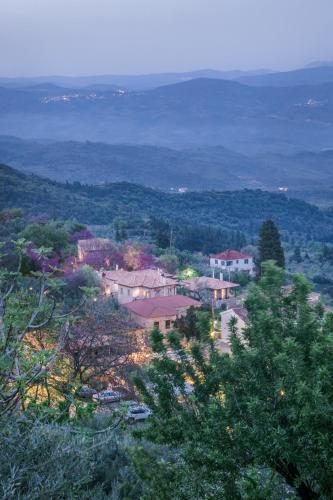 Mazaraki Guesthouse - image 8