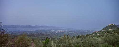 Mazaraki Guesthouse - image 9