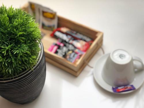 Gostišče Sovdat, Erika Vračun s.p.