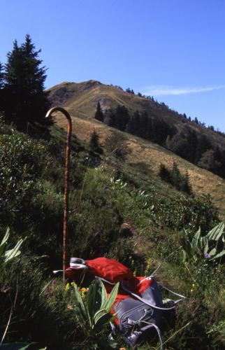 Hôtel Panoramic - image 3