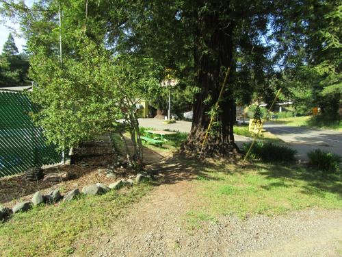 Dean Creek Resort - image 6