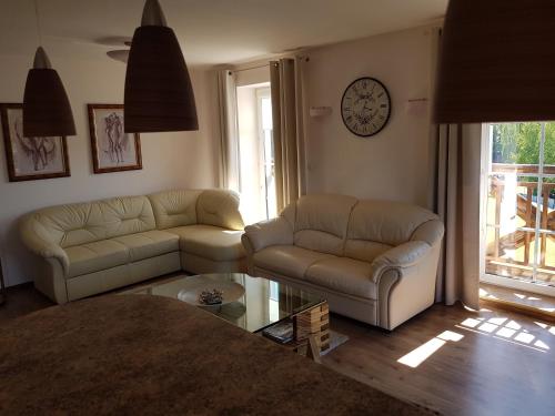 Apartament VIP Vęgoria