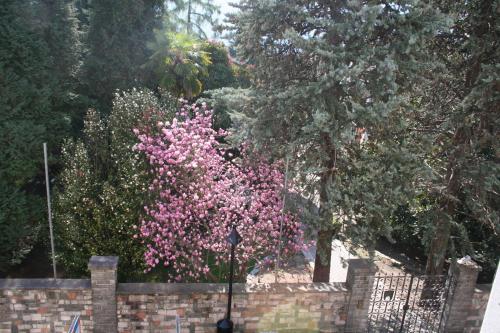 Apartment Irene - image 8