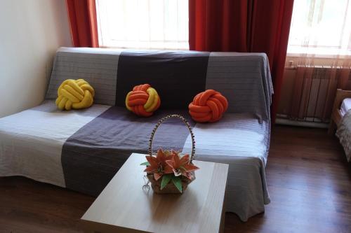 Hostel 101 - image 2