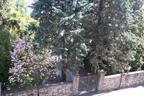 Apartment Irene - image 13