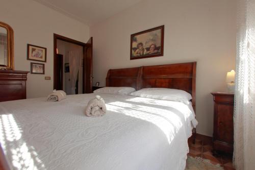 Tutti a casa di Pippo (100mq)