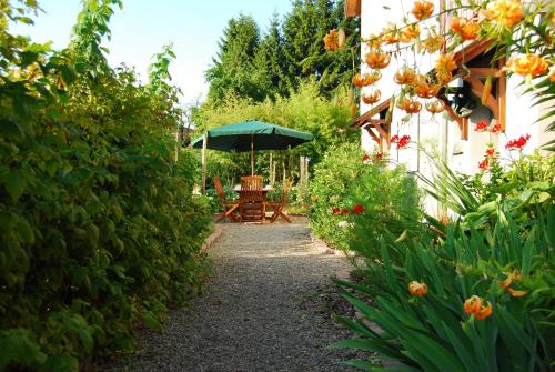 Chambres d'hôtes Gilles Schneider - Accommodation - Husseren-les-Châteaux