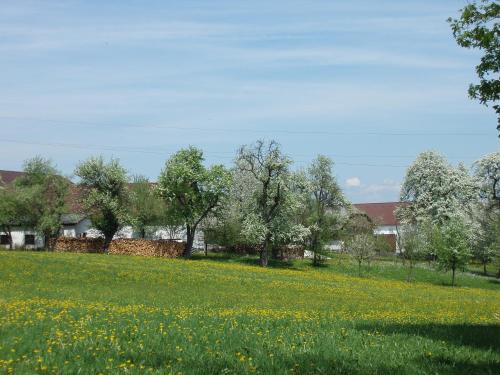 Gasthof Zur Linde