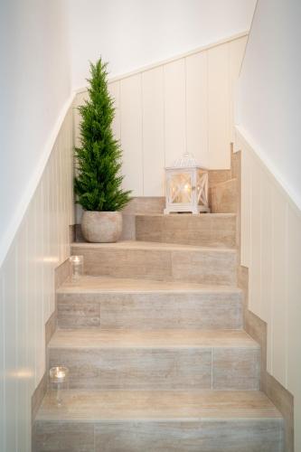 Petit Malaga Congress