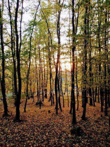 Alrededores, Chalupa Laziště v Posázaví (Chalupa Laziste v Posazavi) in Jindrichuv Hradec