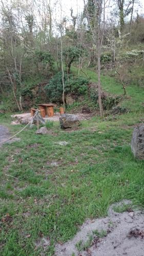 La carole in Mosset